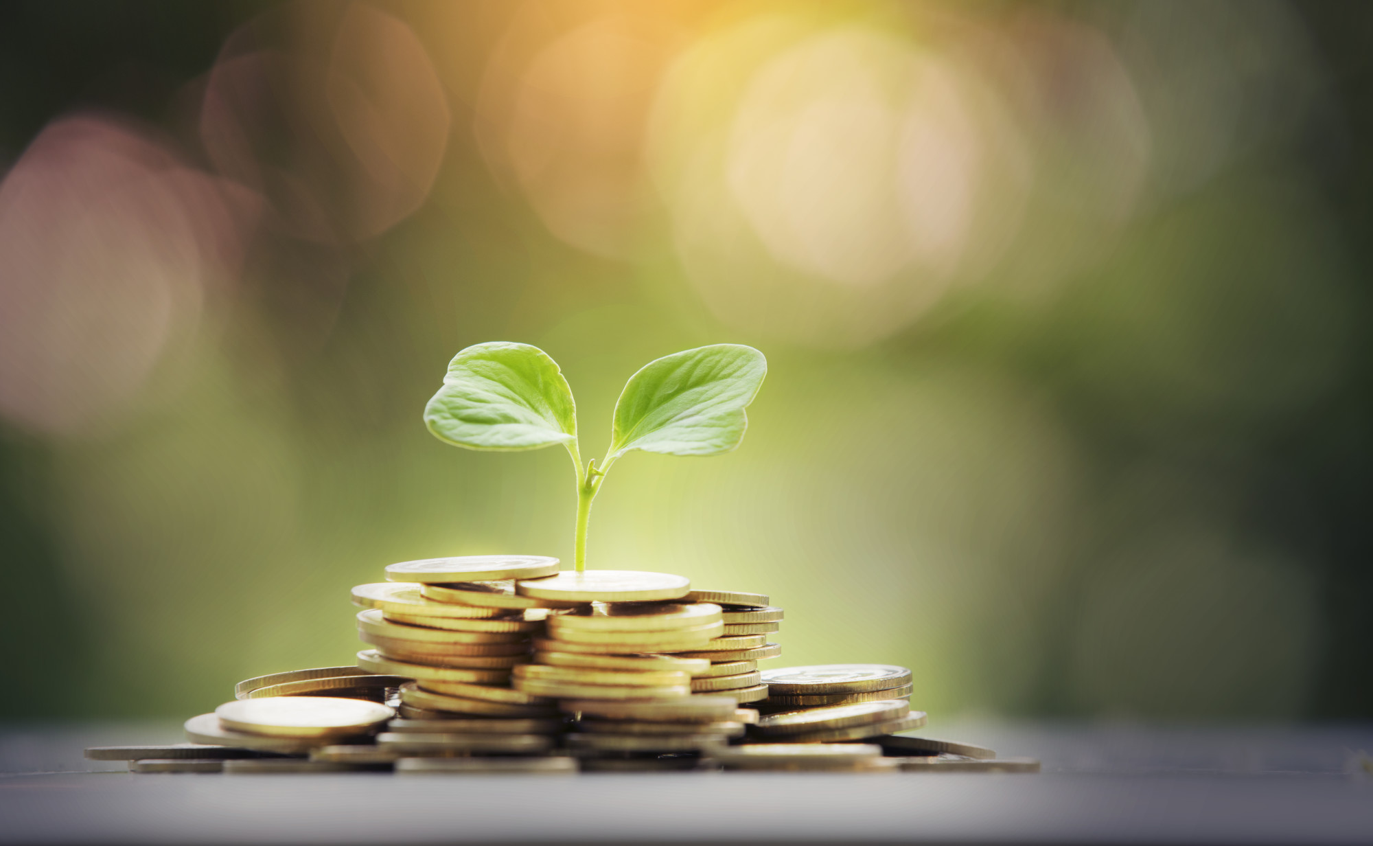 4 Best Long-Term Investing Tips (2022)